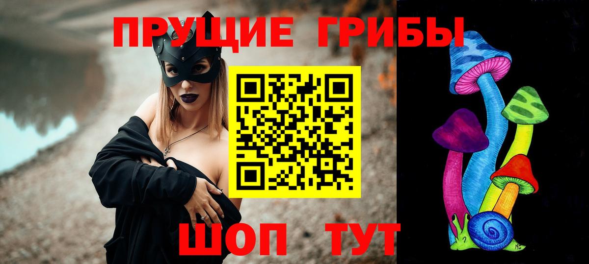 Псилоцибиновые грибы Cubensis Углич